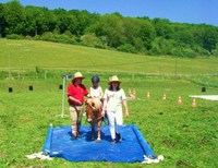 1ER MAI 2012 FOIRE A TOUT A LYONS LA FORET